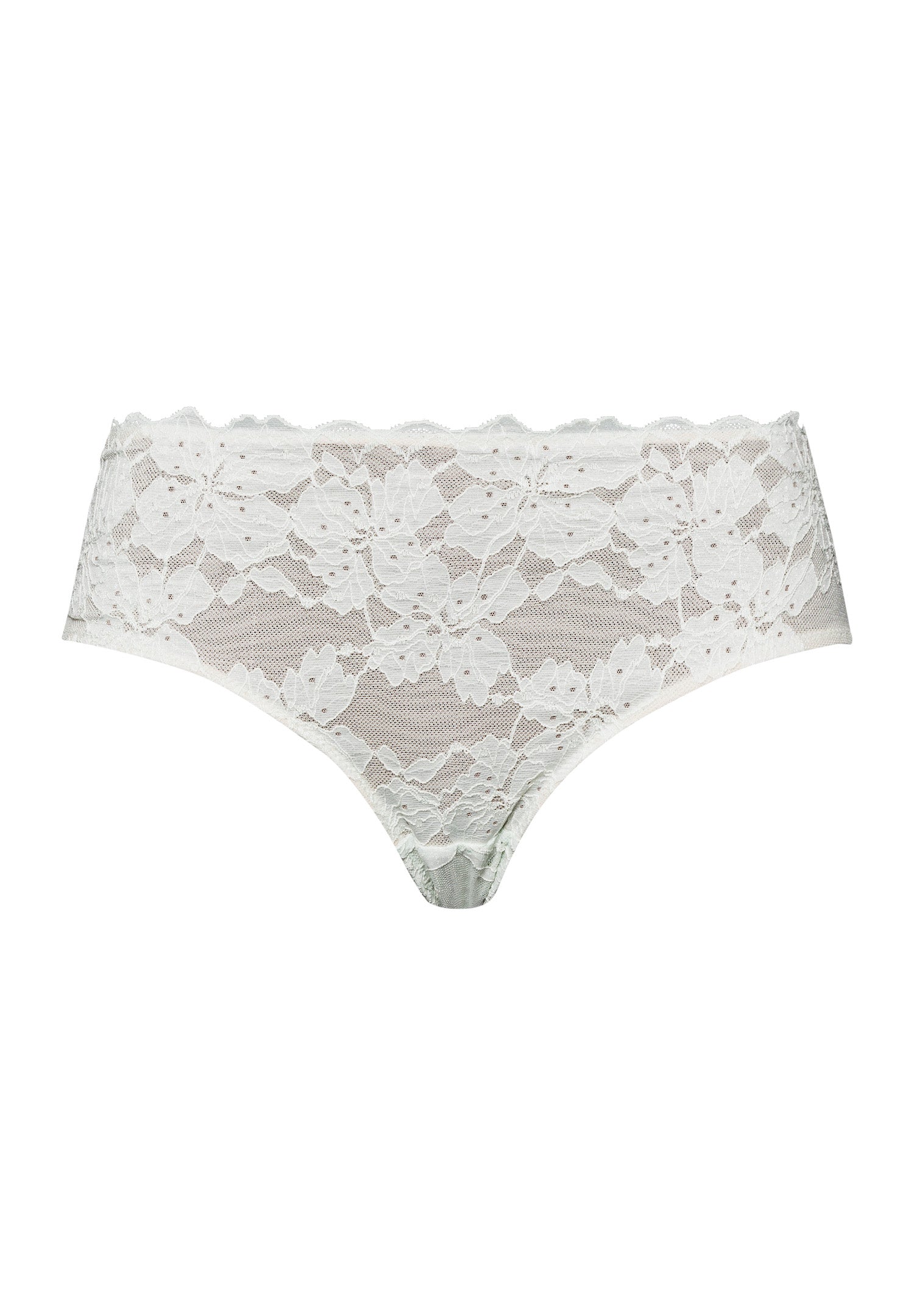 70906 Anais Hi Cut Brief - 2737 White Sage