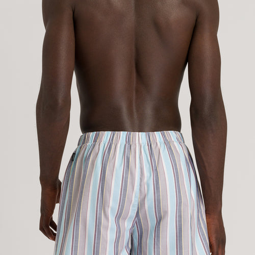 Fancy Woven Boxer | Jaunty Stripe 73116-2358