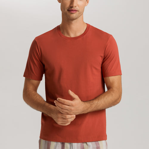 Living Shirts Jersey Cotton Crew Neck T-Shirt | Chutney 75050-2299