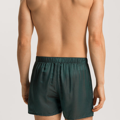 75877 Selection Boxers - 2743 Laurel