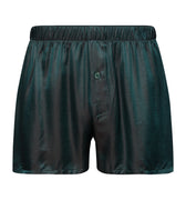 75877 Selection Boxers - 2743 Laurel